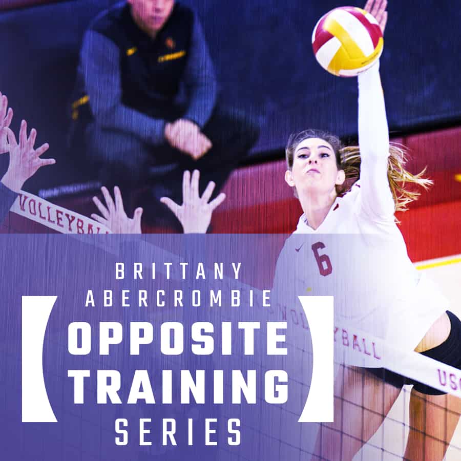 The Art of Coaching Volleyball