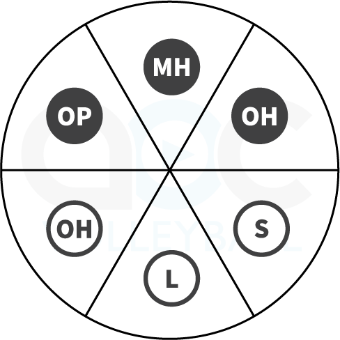Rotation wheel for Rotation 1 and Rotation 4  in a 6-2 volleyball offense